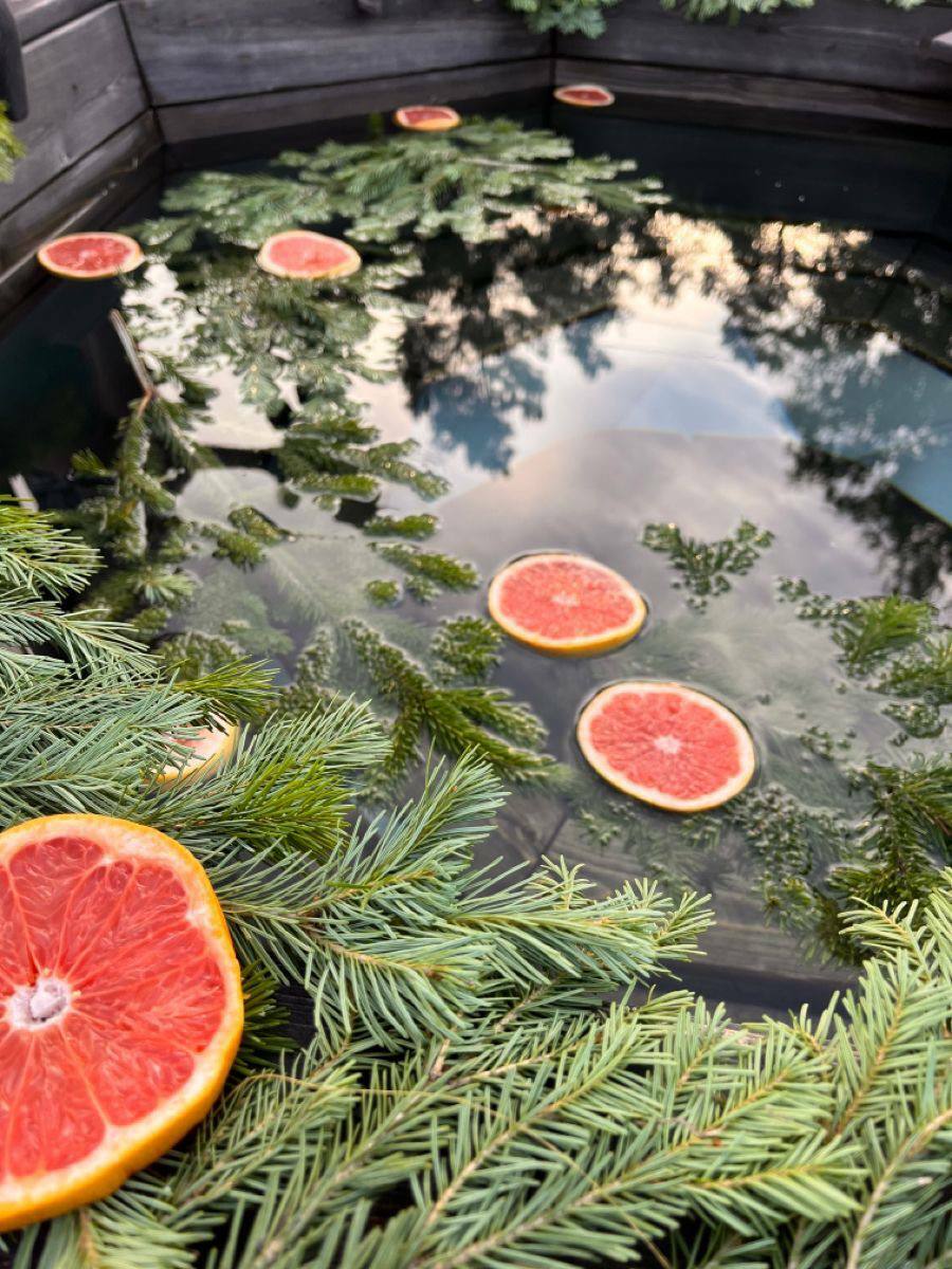 ЧАН "ЕЛОВЫЙ"&nbsp;