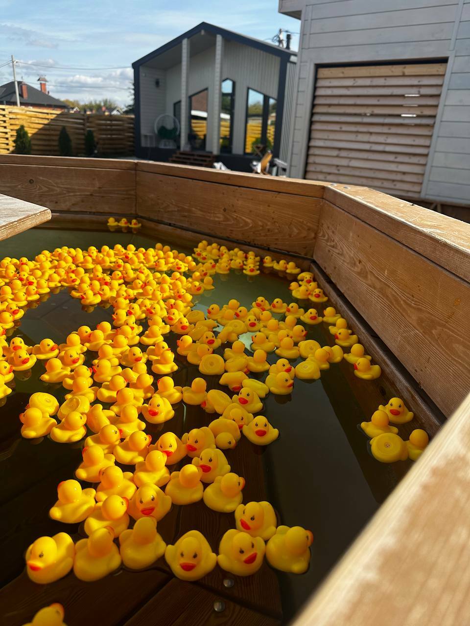 ЧАН&nbsp; &nbsp; &nbsp; &nbsp; "УТИНЫЙ РАЙ"&nbsp;